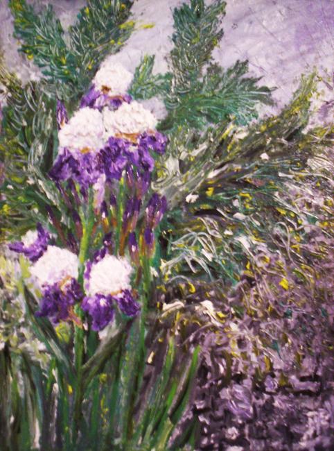 Les iris 30cm/20cm REYNAUD